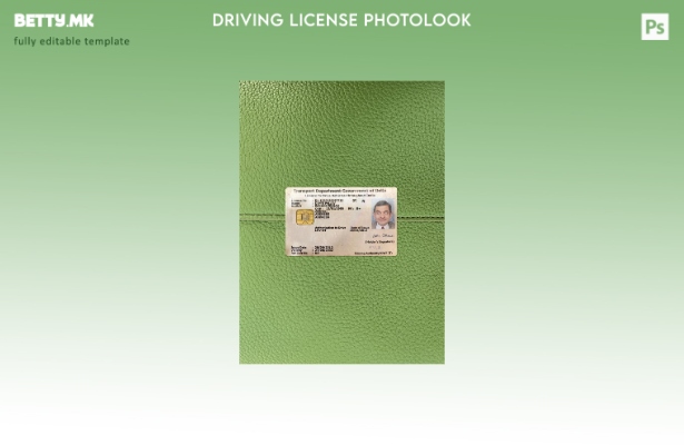 Модерен стил, шаблон за фото изглед на возачка дозвола во Индија Делхи